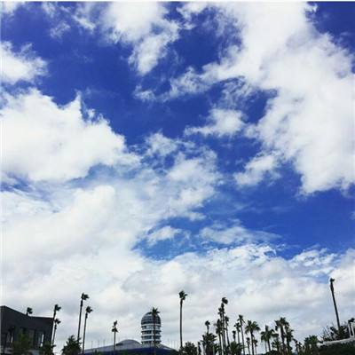 49图库资料免费大全资料澳门